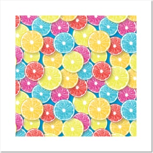 Citrus fruit slices pop art 2 Posters and Art